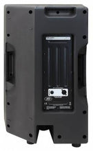 Load image into Gallery viewer, Peavey PVX™ 15 PVX Series 15” Passive Loudspeaker 03620390