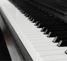 Load image into Gallery viewer, MAESTRO MD P-225 88-Key Portable Digital Piano Dual Bluetooth and 3 Pedals - Black