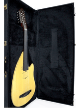Load image into Gallery viewer, Godin 035557 MultiOud Hardshell Case