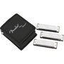 Load image into Gallery viewer, Fender Blues Deluxe Harmonica - 3 Pack With Case (C, G & A Keys)-(7794181570815)
