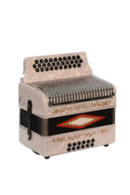 Load image into Gallery viewer, BARONELLI USA AC3112STG Full Size 31 Button Accordion-(6671525249218)