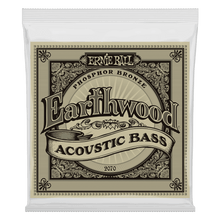 Load image into Gallery viewer, ERNIE BALL 2070 EARTHWOOD PHOSPHOR BRONZE ACOUSTIC BASS STRINGS - 45-95 GAUGE-(6669521617090)