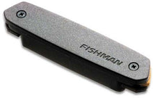 Load image into Gallery viewer, Fishman PRO-NEO-D02 Neo-D Passive Acoustic Humbucking Pickup