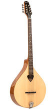 Charger l'image dans la galerie, Gold Tone BZ-500: Irish Bouzouki with Pickup and Case
