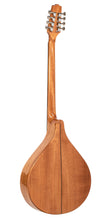 Charger l'image dans la galerie, Gold Tone BZ-500: Irish Bouzouki with Pickup and Case
