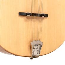 Charger l'image dans la galerie, Gold Tone BZ-500: Irish Bouzouki with Pickup and Case
