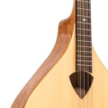 Charger l'image dans la galerie, Gold Tone BZ-500: Irish Bouzouki with Pickup and Case
