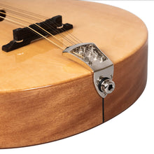 Charger l'image dans la galerie, Gold Tone BZ-500: Irish Bouzouki with Pickup and Case
