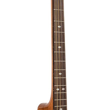 Charger l'image dans la galerie, Gold Tone BZ-500: Irish Bouzouki with Pickup and Case
