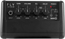 Load image into Gallery viewer, Blackstar FLY3 3W Combo Mini Amp
