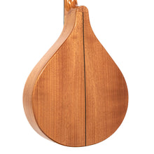 Charger l'image dans la galerie, Gold Tone BZ-500: Irish Bouzouki with Pickup and Case
