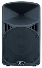 Load image into Gallery viewer, GF TURBO POWERED 10'' SPEAKER - CLASS D POWER - 800 WATTS
