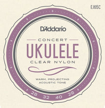 Load image into Gallery viewer, D'Addario EJ65C Pro-Arte Custom Extruded Concert Ukulele Strings
