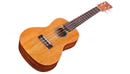 Load image into Gallery viewer, Cordoba 20CM Concert Ukulele (Mahogany)

