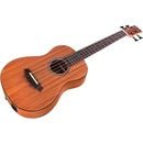 Load image into Gallery viewer, Cordoba MINI II Bass MH-E Acoustic/Electric Bass - Mahogany (U-BASS)
