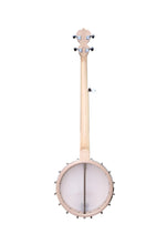 Load image into Gallery viewer, Deering Goodtime Openback  5 String Banjo Made In USA G
