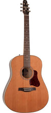 Load image into Gallery viewer, Seagull 042494 Coastline Momentum HG Acoustic Electric MADE In CANADA
