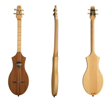 Load image into Gallery viewer, Seagull 042517  M4 Mahogany Merlin Dulcimer Electric EQ MADE In CANADA - D
