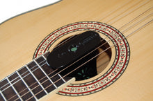 Load image into Gallery viewer, Guitar / Instrument Humidifier
