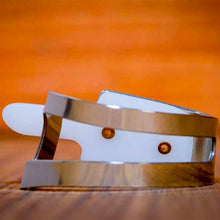 Load image into Gallery viewer, PROPIK® QUIK-PIK™ THUMBPICK Metal Plastic
