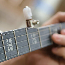 Load image into Gallery viewer, Deering Artisan Goodtime 5-String Openback Banjo Made In USA AG-(7078497157314)
