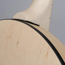 Load image into Gallery viewer, Deering Goodtime Special Banjo with Resonator MADE In USA GS-(7078525927618)

