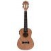Load image into Gallery viewer, ALOHA FO900E FLAMED OKOUME SERIES UKULELE WITH PICKUP - CONCERT

