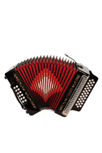 Load image into Gallery viewer, BARONELLI USA AC3112STG Full Size 31 Button Accordion-(6671525249218)
