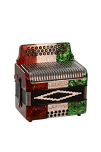 Load image into Gallery viewer, BARONELLI USA AC3112STG Full Size 31 Button Accordion-(6671525249218)
