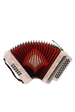 Load image into Gallery viewer, BARONELLI USA AC3112STG Full Size 31 Button Accordion-(6671525249218)
