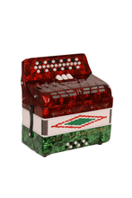 Load image into Gallery viewer, BARONELLI USA AC3412G3 34 Button Accordion 12 Bass 3 Switches-(6671508930754)
