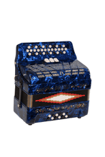 Load image into Gallery viewer, BARONELLI USA AC3412G3 34 Button Accordion 12 Bass 3 Switches-(6671508930754)
