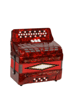Load image into Gallery viewer, BARONELLI USA AC3412G3 34 Button Accordion 12 Bass 3 Switches-(6671508930754)
