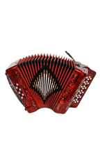 Load image into Gallery viewer, BARONELLI USA AC3412G3 34 Button Accordion 12 Bass 3 Switches-(6671508930754)
