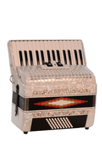 Load image into Gallery viewer, Baronelli USA ACPK30 Piano Accordion 30 Keys 48 Bass 3 Switches-(6670429552834)
