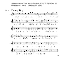 Load image into Gallery viewer, PLAY TODAY HARMONICA KIT
