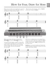 Load image into Gallery viewer, ABSOLUTE BEGINNERS – HARMONICA
