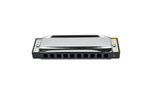 Load image into Gallery viewer, 10 Hole Harmonica with Case - Black
