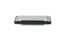 Load image into Gallery viewer, 10 Hole Harmonica with Box - Silver
