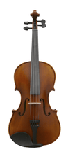 Load image into Gallery viewer, 1/2 Size Student Violin Ensemble - Matte Finish
